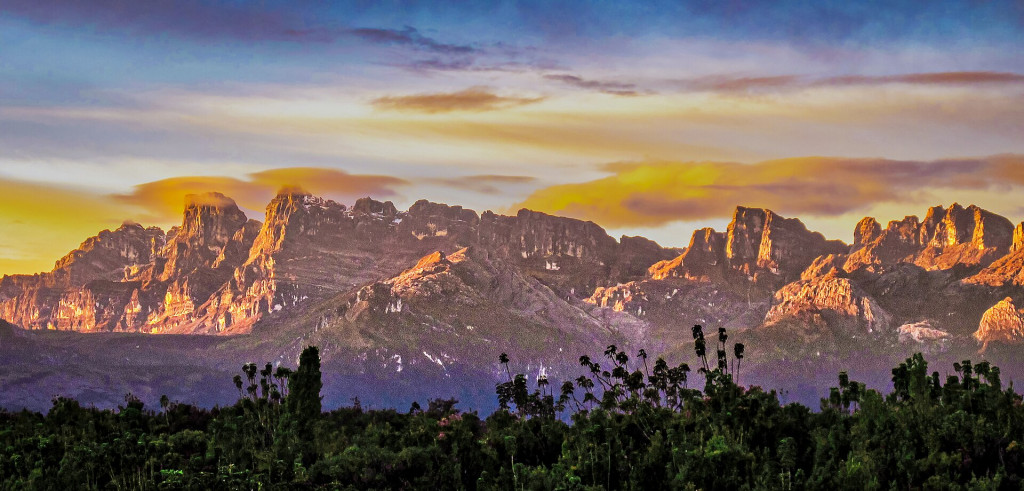 hutan terbaik Indonesia