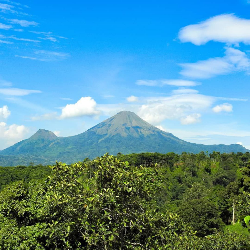 Rekomendasi gunung untuk pendaki pemula - Penanggungan