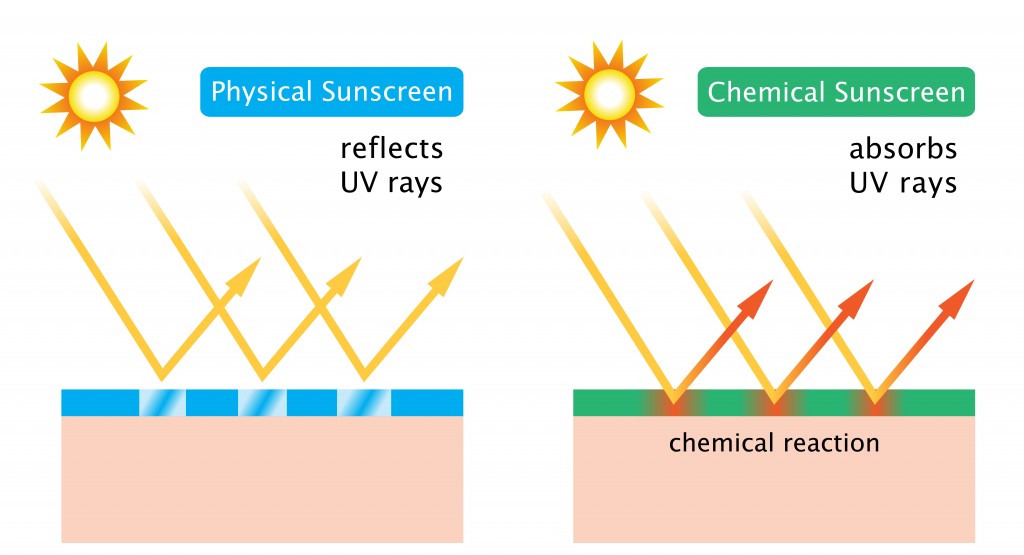 Physical Sunscreen VS Chemical Sunscreen