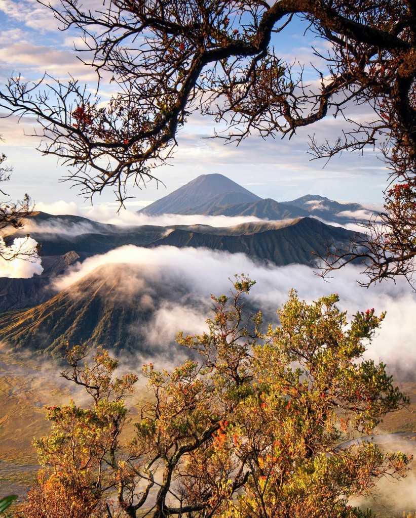 Tempat Wisata Gunung Bromo