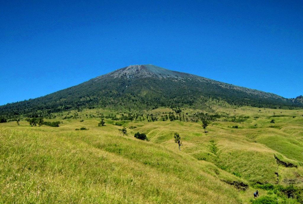 Wisata Gunung Rinjani_Padang Savana Sembalun Lawang