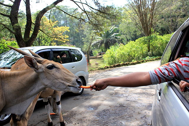 wisata ramah anak Indonesia