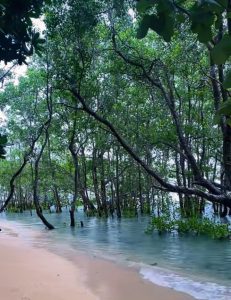 Gambar Pantai Tenda Biru Jawa Barat