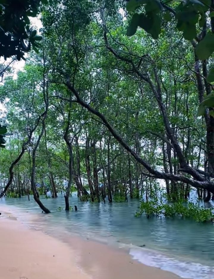 Gambar Pantai Tenda Biru Jawa Barat