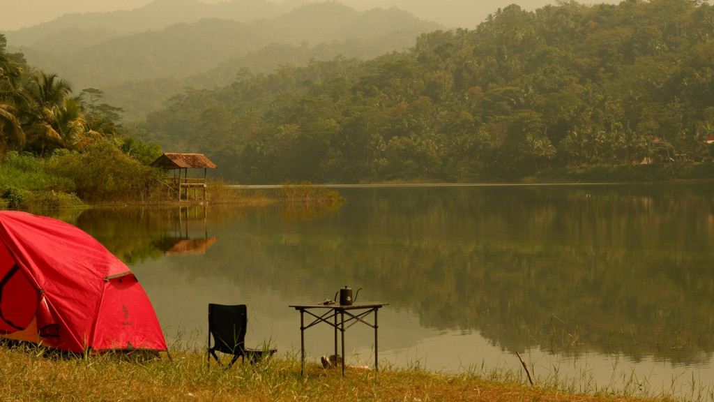 Pesona 5 Hutan Terbaik Indonesia