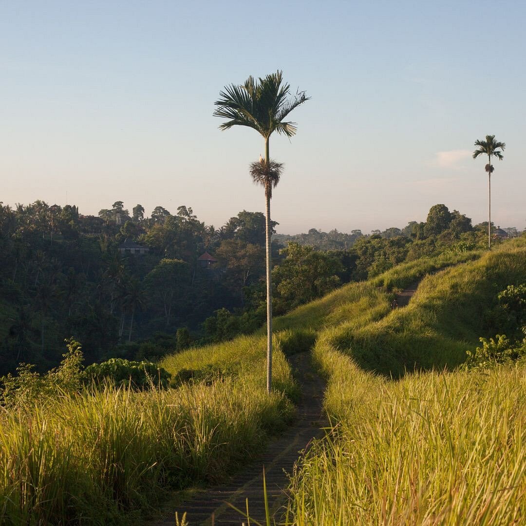 wisata olahraga Indonesia