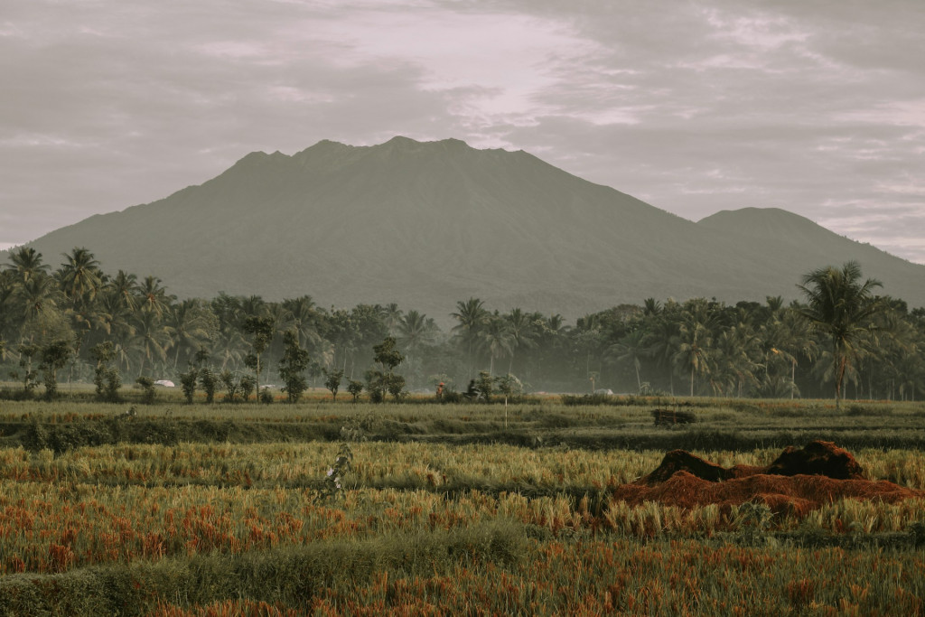 kota penghasil buah Indonesia